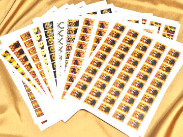 Director Stamp Set